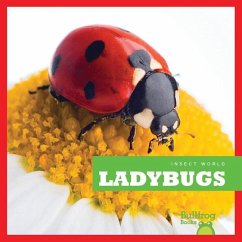 Ladybugs - Schuh, Mari C