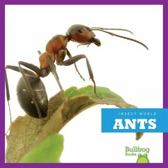 Ants - Schuh, Mari C