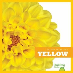 Yellow - Adamson, Heather