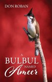 A Bulbul Named Ameer