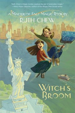 A Matter-of-Fact Magic Book: Witch's Broom (eBook, ePUB) - Chew, Ruth