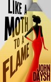 Like a Moth to a Flame (Nick Adamson, #2) (eBook, ePUB)