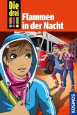 Flammen in der Nacht / Die drei Ausrufezeichen Bd.63 (eBook, ePUB)