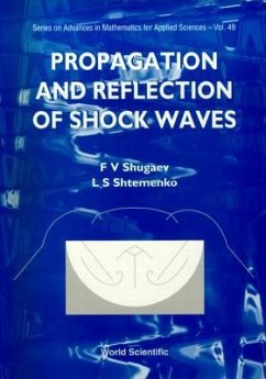 Propagation and Reflection of Shock Waves - Shtemenko, L S; Shugaev, F V