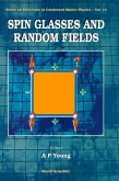 Spin Glasses and Random Fields