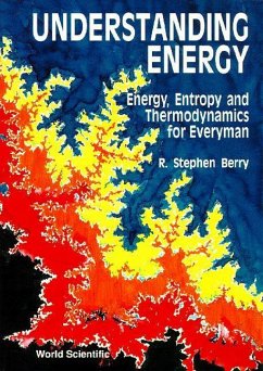 Understanding Energy: Energy, Entropy and Thermodynamics for Everyman - Berry, R Stephen