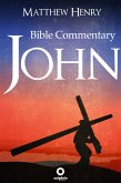 The Gospel of John - Complete Bible Commentary Verse by Verse (eBook, ePUB)