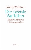 Der asoziale Aufklärer (eBook, PDF)