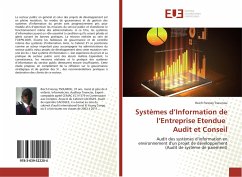 Systèmes d¿Information de l¿Entreprise Etendue Audit et Conseil - Tsoumou, Reich Fresney