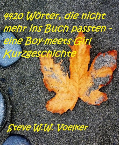 4420 Wörter, die nicht mehr ins Buch passten - eine Boy-meets-Girl Kurzgeschichte (eBook, ePUB)