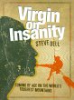 Virgin on Insanity (eBook, ePUB) - Bild 1