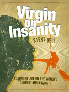 Virgin on Insanity (eBook, ePUB) - Bell, Steve