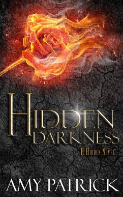 Hidden Darkness, Book 4 of the Hidden Saga - Patrick, Amy