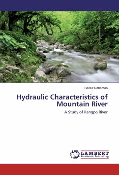 Hydraulic Characteristics of Mountain River