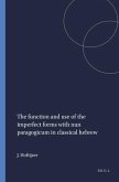 The Function and Use of the Imperfect Forms with Nun Paragogicum in Classical Hebrew