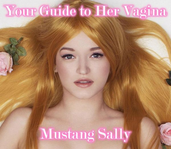 Your Guide to Her Vagina (eBook, ePUB) Your Guide to Her Vagina (eBook, ePUB)