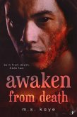 Awaken From Death (Born From Death, #2) (eBook, ePUB) Awaken From Death (Born From Death, #2) (eBook, ePUB)