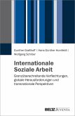 Internationale Soziale Arbeit (eBook, PDF)