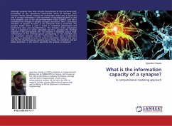 What is the information capacity of a synapse?