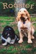 Rooster - Bild 1