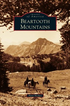 Beartooth Mountains - Hooker, Patty