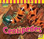 Centipedes