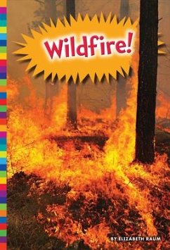 Wildfire! - Raum, Elizabeth