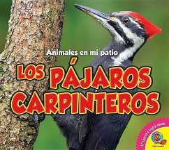 Los Pájaros Carpinteros - Carr, Aaron