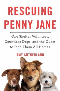 Rescuing Penny Jane - Sutherland, Amy