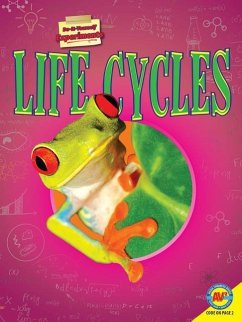 Life Cycles - Marsico, Katie