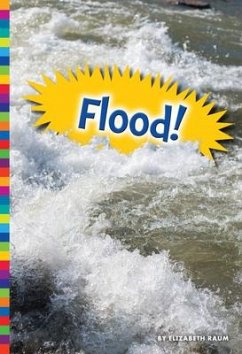 Flood! - Raum, Elizabeth