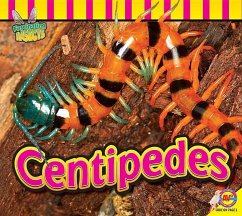 Centipedes - Willis, John