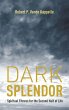 Dark Splendor - Bild 1