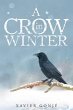 A Crow in Winter - Bild 1