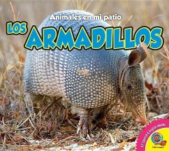 Los Armadillos - Carr, Aaron