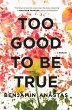 Too Good to Be True - Bild 1