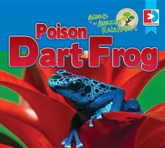 Animals of the Amazon Rainforest: Poison Dart Frog - Gillespie, Katie