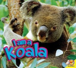 I Am a Koala - Kissock, Heather