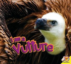 I Am a Vulture - Kissock, Heather