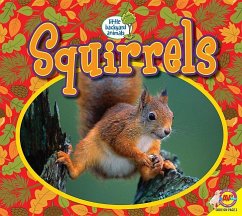 Squirrels - Kissock, Heather