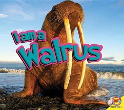 I Am a Walrus - Nugent, Samantha