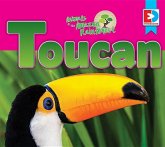 Animals of the Amazon Rainforest: Toucan