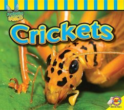 Crickets - Willis, John