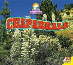 Chaparrals