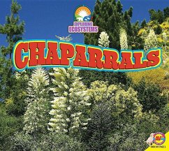 Chaparrals - Siemens, Jared