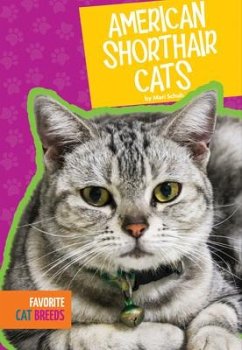 American Shorthair Cats - Schuh, Mari C