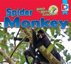 Animals of the Amazon Rainforest: Spider Monkey - Gillespie, Katie