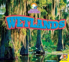 Wetlands - Willis, John