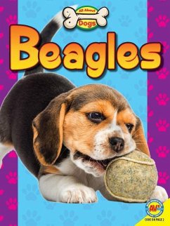 Beagles - Gray, Susan