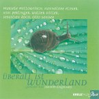 Überall ist Wunderland (MP3-Download)